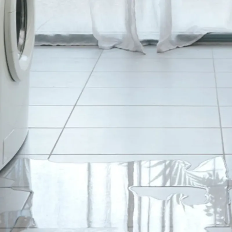 Appliance Leak Cleanup in Montague, MI