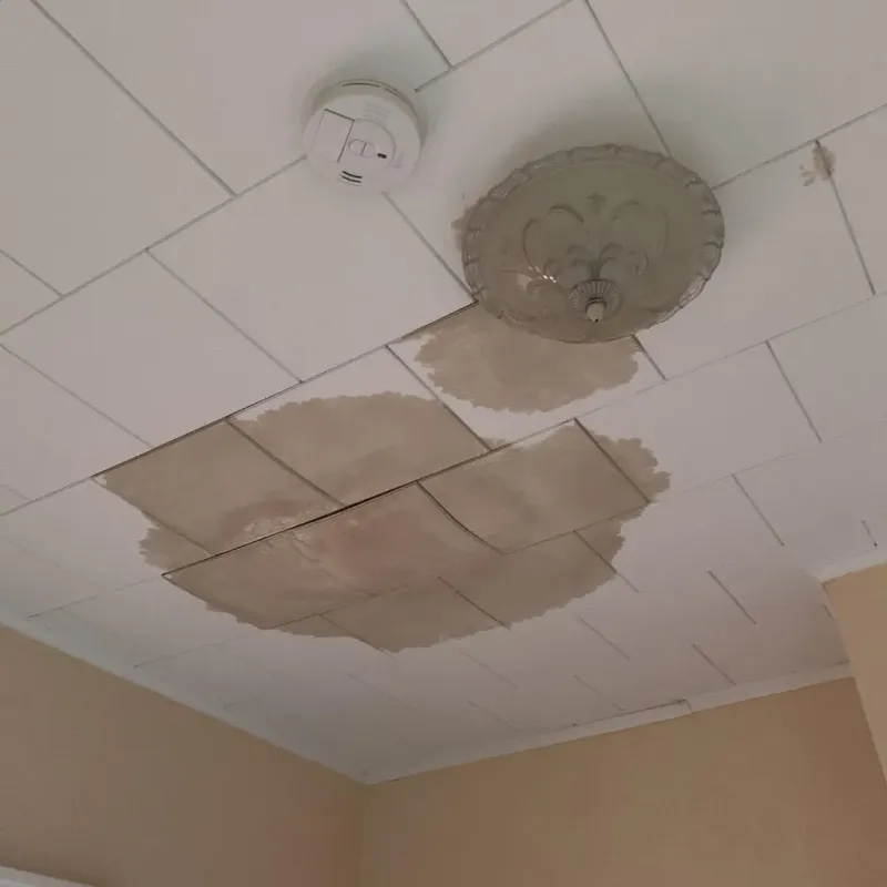 Ceiling Water Damage Repair in Montague, MI