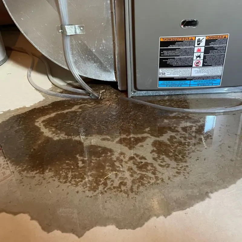 Pipe Burst and Leak Restoration in Montague, MI