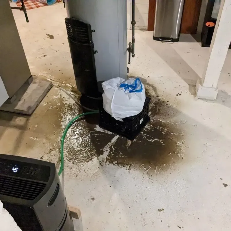 Sewage Backup Cleanup Service in Montague, MI